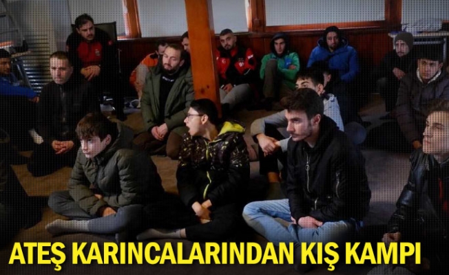 Ateş Karıncalarından Kış Kampı