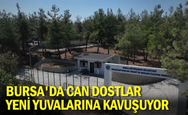 Bursa'da can dostlar yeni yuvalarına kavuşuyor