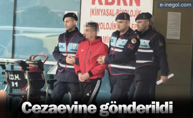 Cezaevine gönderildi