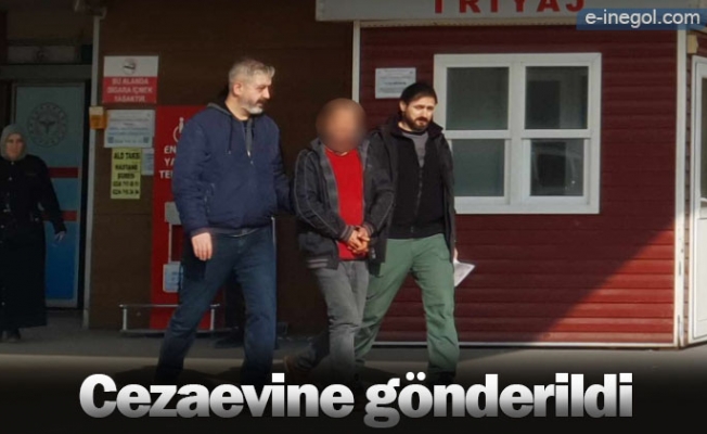 Cezaevine gönderildi