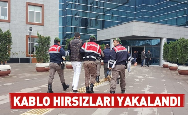 Kablo Hırsızları Yakalandı