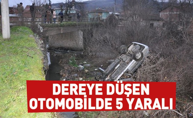 Dereye düşen otomobilde 5 yaralı