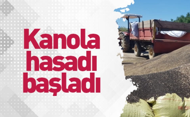 İnegöl’de kanola hasadı başladı