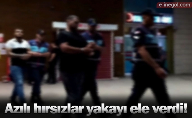 Azılı hırsızlar yakayı ele verdi!