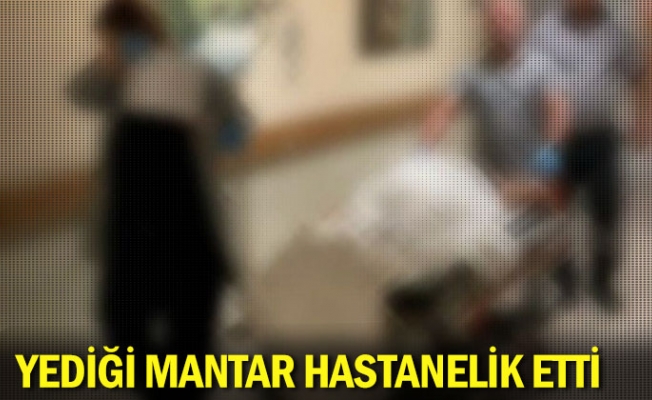 Yediği mantar hastanelik etti