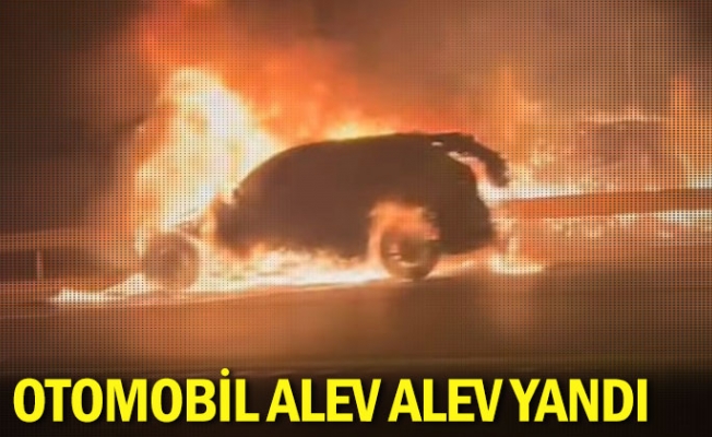 Otomobil alev alev yandı