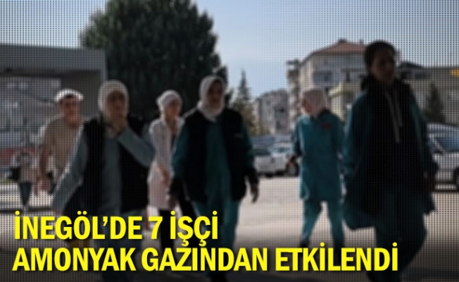 İnegöl'de 7 işçi amonyak gazından etkilendi