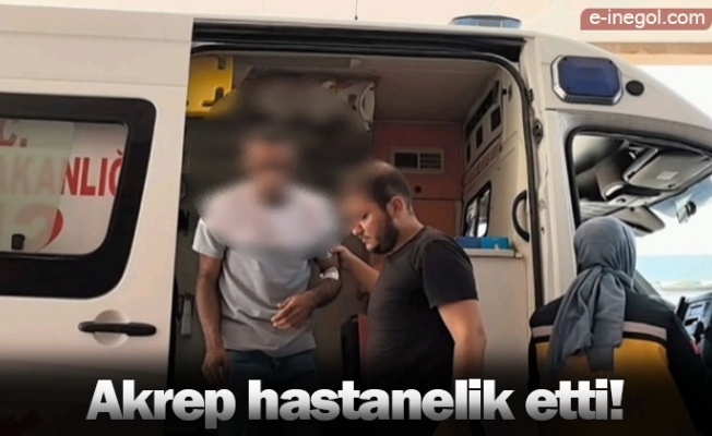 Akrep hastanelik etti!