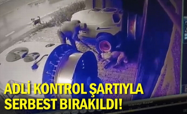 Adli kontrol şartıyla serbest bırakıldı