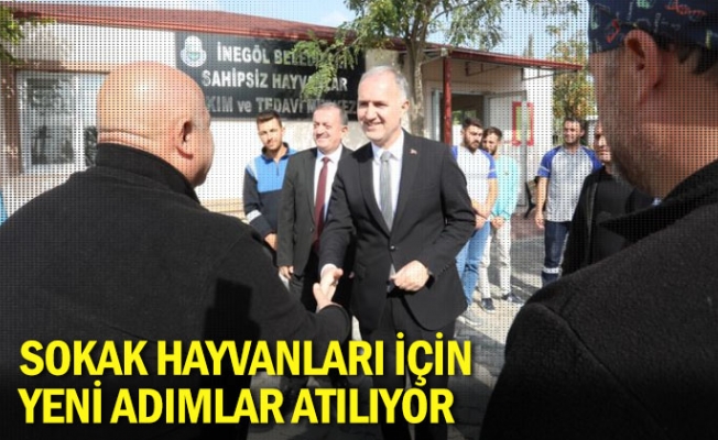 Sokak hayvanları için yeni adımlar atılıyor