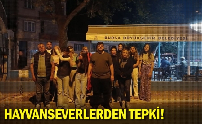 Hayvanseverlerden tepki!