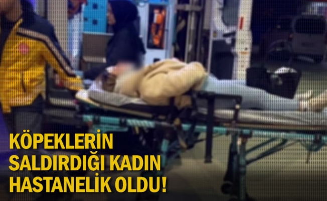 İnegöl'de köpeklerin saldırdığı kadın hastanelik oldu!