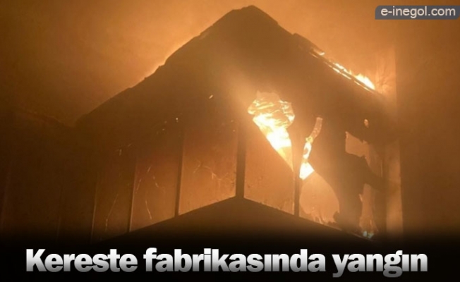 Kereste fabrikasında yangın 