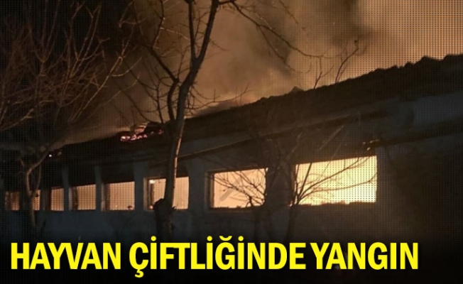 İnegöl'de hayvan çiftliğinde yangın