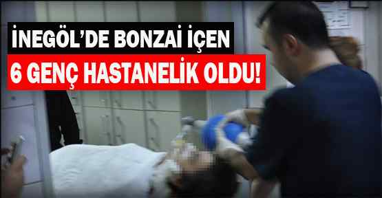 İnegöl'de yine bonzai vakası!