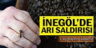 Arıların saldırısına uğrayan kişi öldü