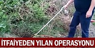 İtfaiyeden Yılan Operasyonu