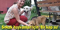 Sokak hayvanları için 'Bir kap su'