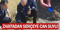 Zabıtadan Serçeye Can Suyu