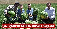 Çavuşköy'de Karpuz Hasadı Başladı