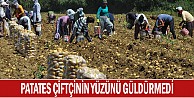 Patates Üreticinin Yüzünü Güldürmedi