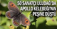 50 sanatçı Uludağ’da Apollo Kelebeği’nin peşine düştü