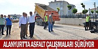 Alanyurt’ta Asfalt Çalışmaları Sürüyor