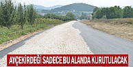 Ayçekirdeği Sadece Bu Alanda Kurutulacak