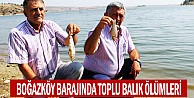 Boğazköy barajında toplu balık ölümleri