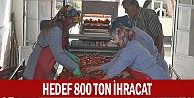 Hedef 800 Ton İhracat