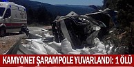 Kamyonet Şarampole Yuvarlandı: 1 Ölü