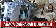 Ağaca çarparak durabildi