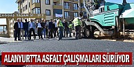 Alanyurt'ta asfalt çalışmaları sürüyor