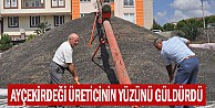 Ayçekirdeği Üreticinin Yüzünü Güldürdü