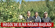 İnegöl’de elma hasadı başladı