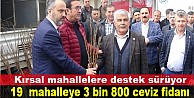 19 mahalleye 3 bin 800 ceviz fidanı