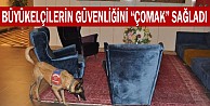 Büyükelçilerin güvenliğini “Çomak” sağladı