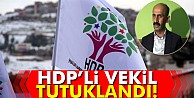 HDP Hakkari milletvekili Nihat Akdoğan tutuklandı