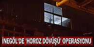 İnegöl'de 'Horoz Dövüşü' Operasyonu