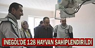 İnegöl’de 128 hayvan sahiplendirildi