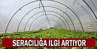 Seracılığa ilgi artıyor