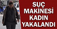 Suç makinesi kadın yakalandı