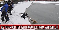 Buz tutan gölete düşen köpeği kurtarma seferberliği