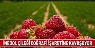 İnegöl Çileği Coğrafi İşaretine Kavuşuyor