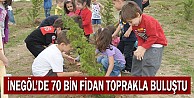 İnegöl'de 70 bin fidan toprakla buluştu