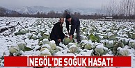 İnegöl’de soğuk hasat