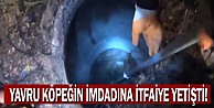 Yavru Köpeğin İmdadına İtfaiye Yetişti