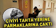 Çiviyi tahta yerine parmaklarına çaktı