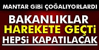 İki bakanlık harekete geçti! Kapatılacak