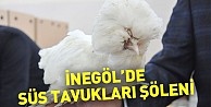 İnegöl’de süs tavukları şöleni